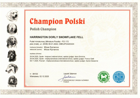 Polský šampion krásy